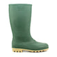 DOLLY Womens Wellington Boots in Green